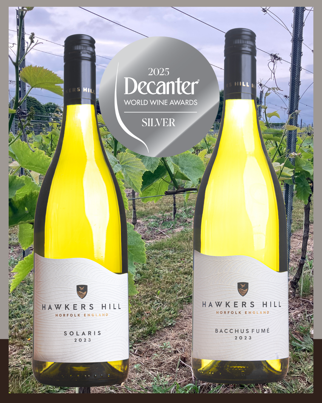 Decanter Success for Hawkers Hill